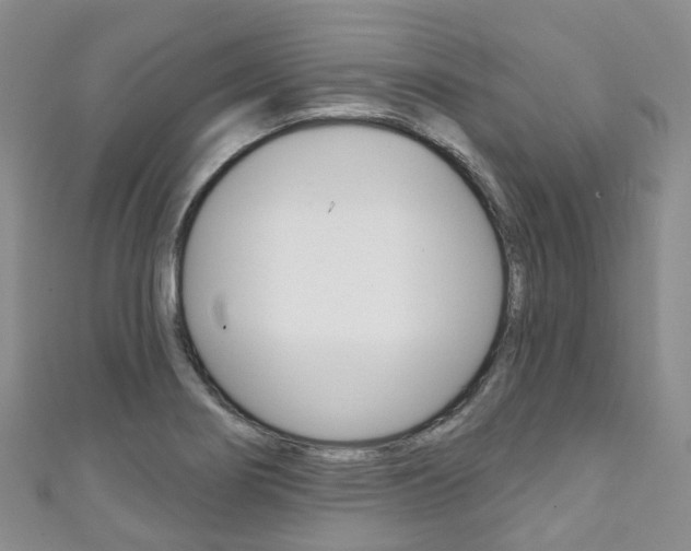 X0000111931274200907271022