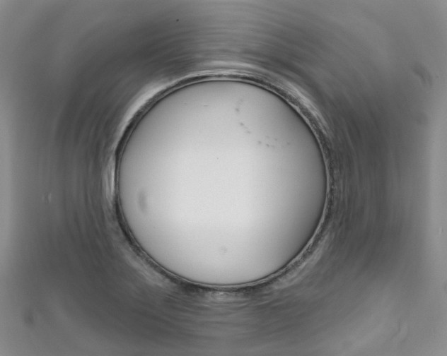 X0000111931275200907271022