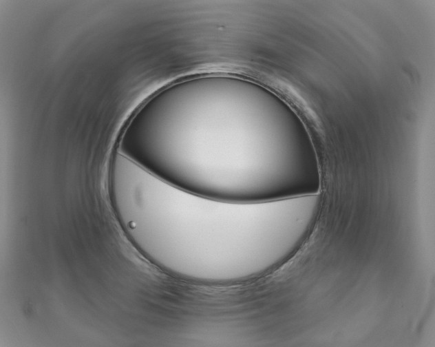 X0000111931276200907271022