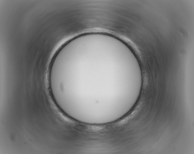 X0000111931278200907271022
