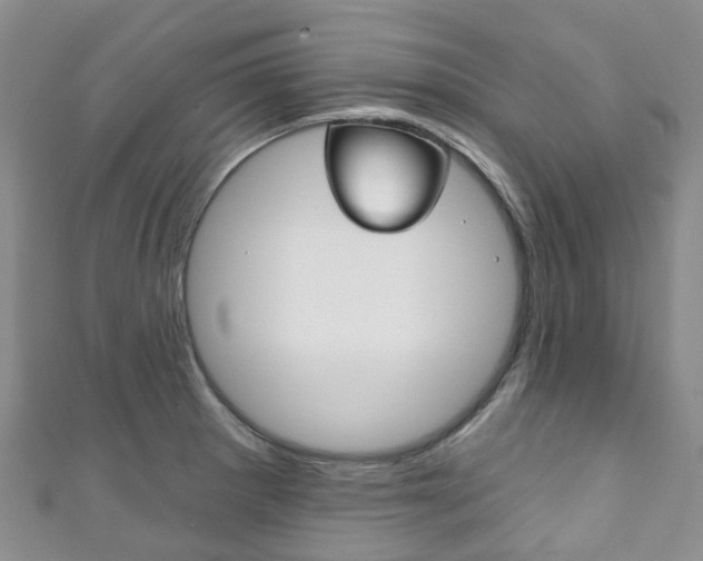 X0000111931281200907271022