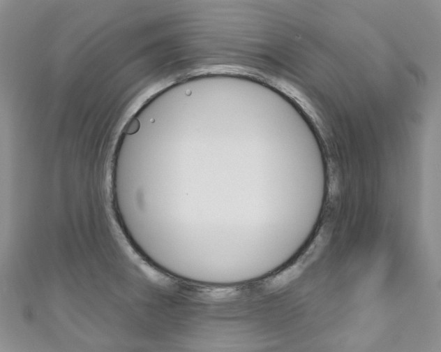 X0000111931282200907271022