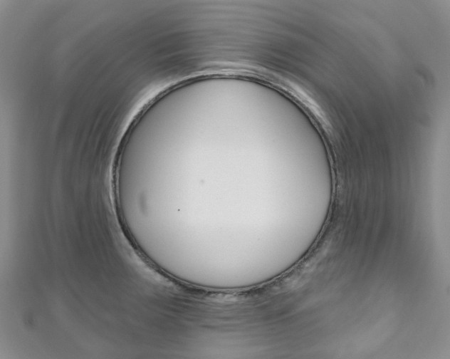 X0000111931283200907271022