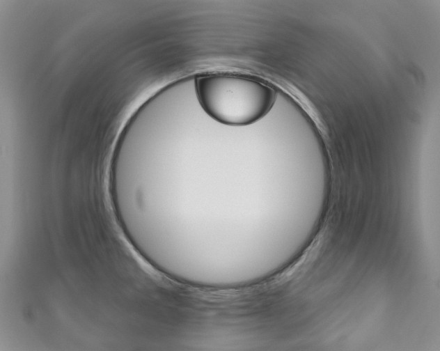 X0000111931285200907271022