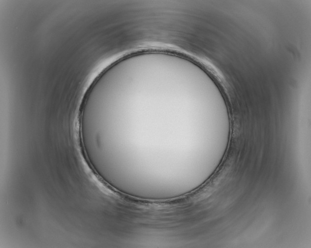 X0000111931287200907271022