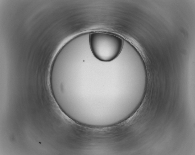 X0000111931288200907271022