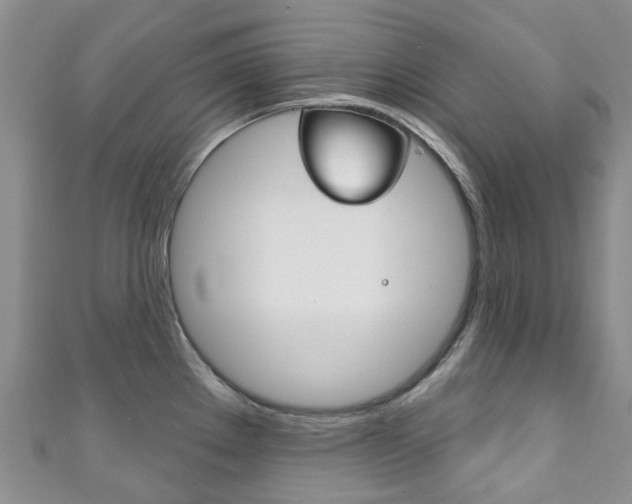 X0000111931289200907271022
