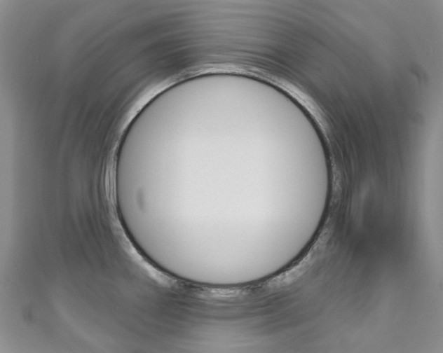X0000111931290200907271022
