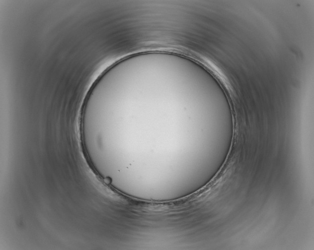 X0000111931291200907271022