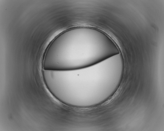 X0000111931293200907271022