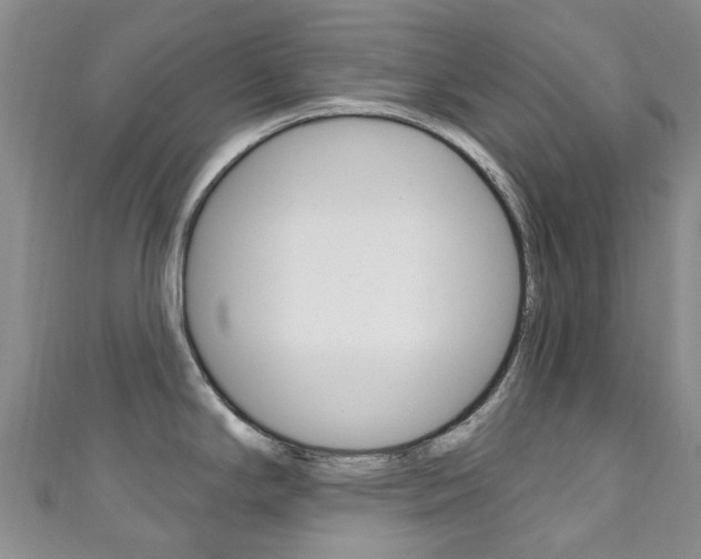 X0000111931294200907271022