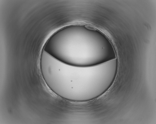 X0000111931296200907271022