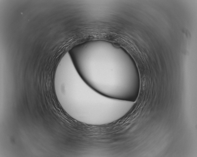 X0000111931298200907271022