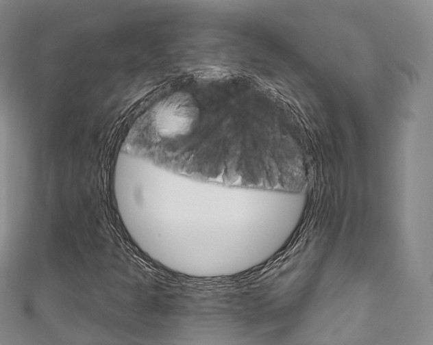 X0000111931301200907271022