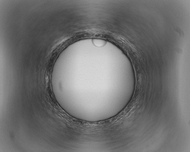 X0000111931302200907271022
