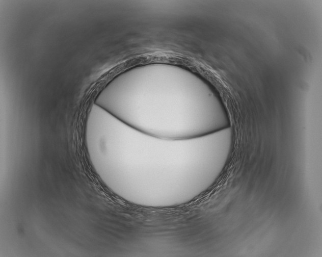 X0000111931303200907271022