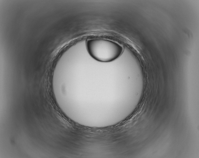 X0000111931304200907271022