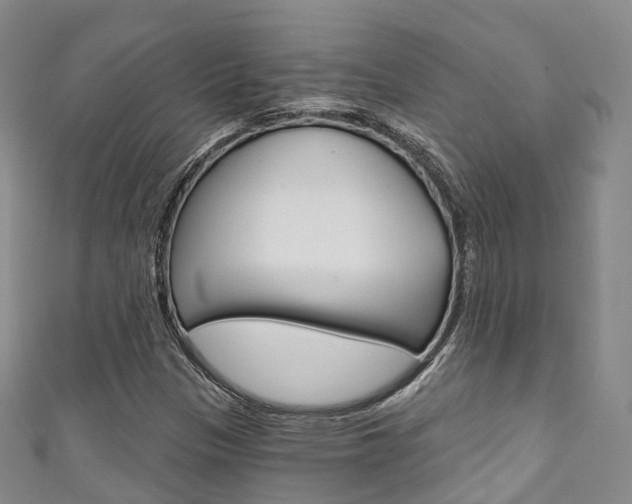 X0000111931305200907271022