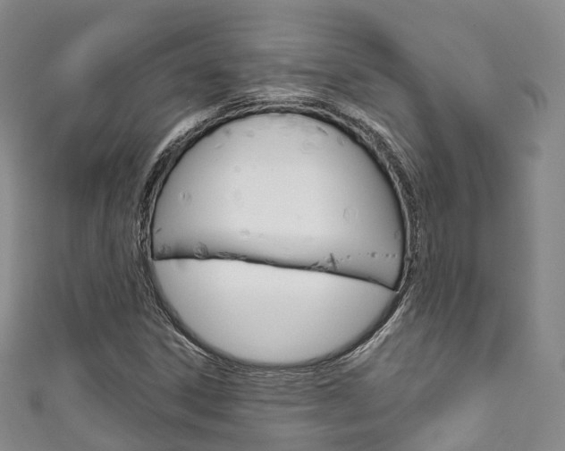X0000111931306200907271022