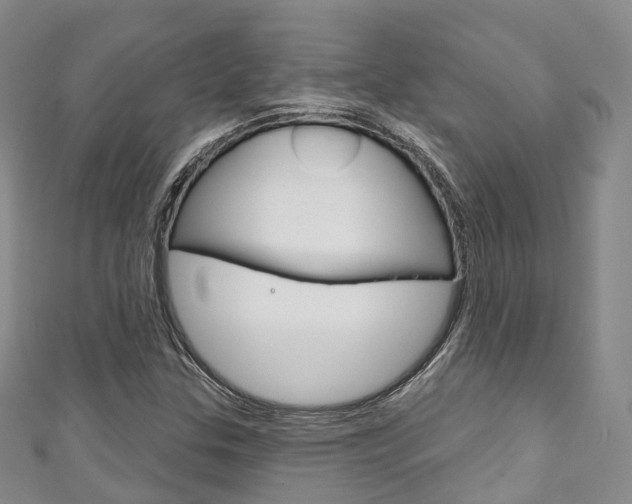 X0000111931307200907271022
