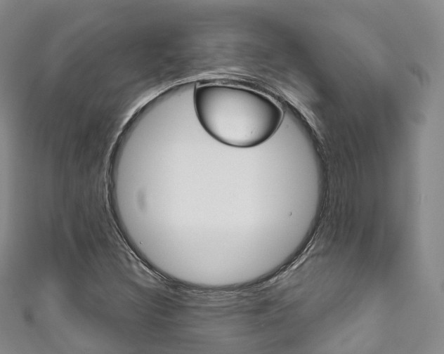 X0000111931308200907271022