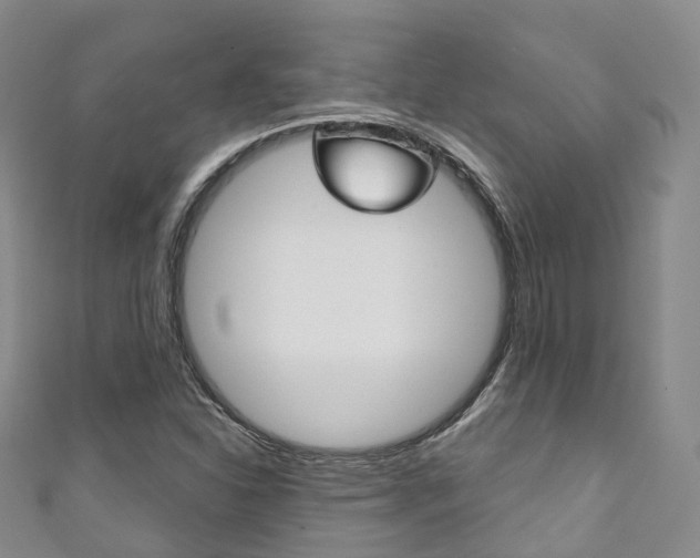 X0000111931310200907271022