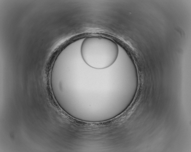 X0000111931311200907271022