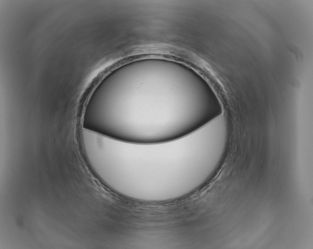 X0000111931312200907271022
