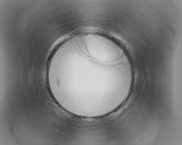 X0000111931314200907271022