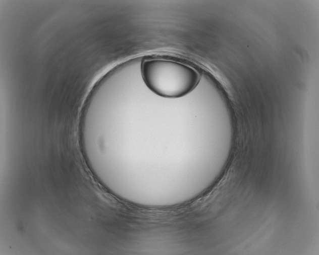 X0000111931316200907271022