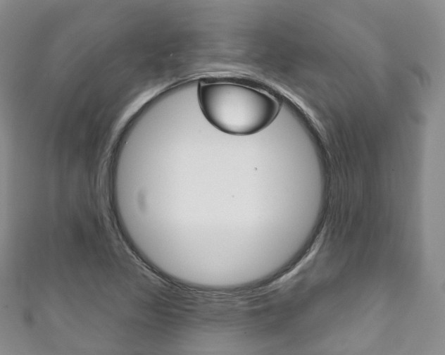 X0000111931317200907271022