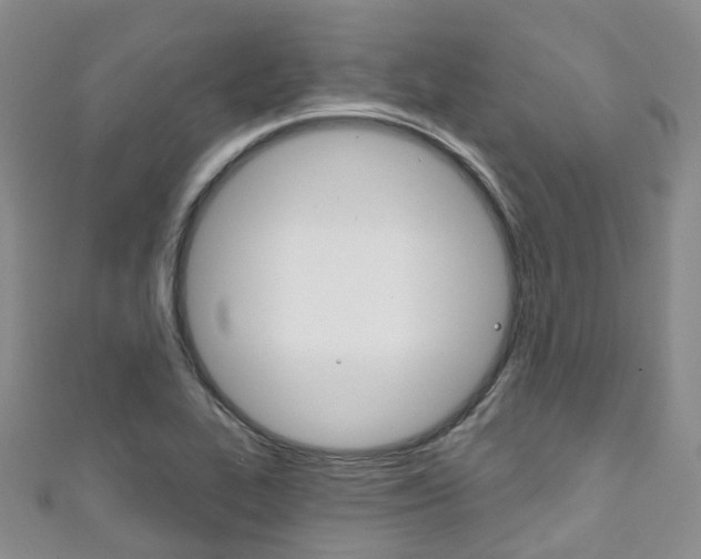 X0000111931319200907271022