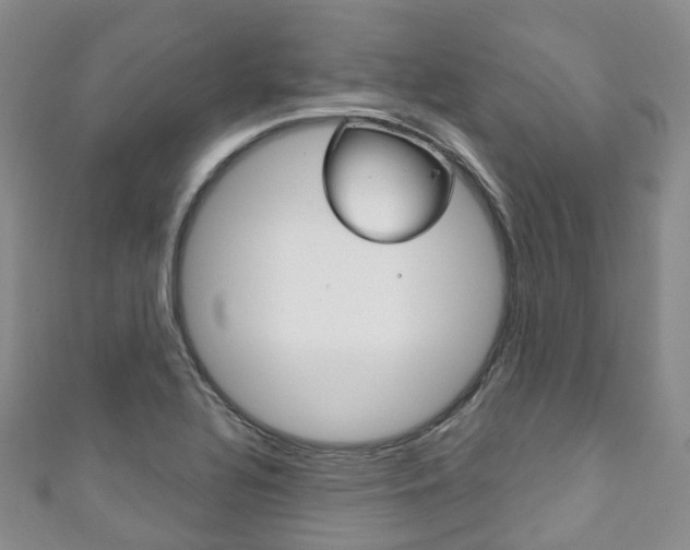X0000111931320200907271022