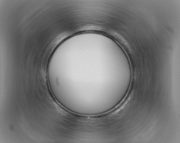 X0000111931321200907271022