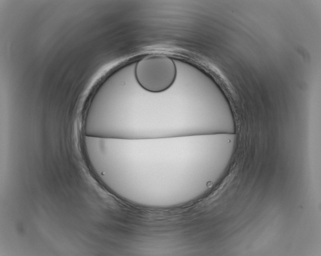 X0000111931323200907271022