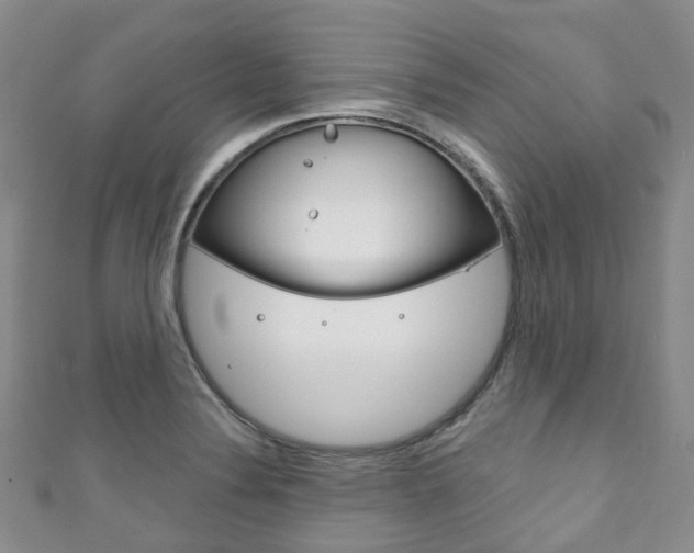 X0000111931324200907271022