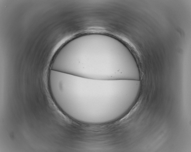 X0000111931325200907271022