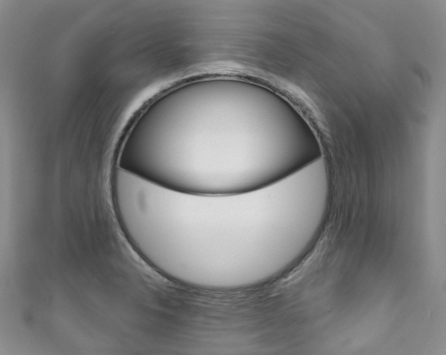 X0000111931326200907271022