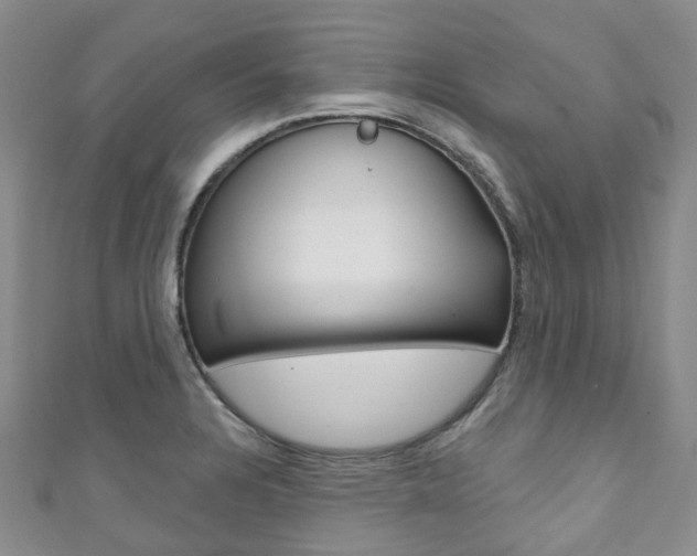 X0000111931328200907271022