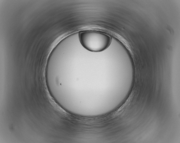 X0000111931330200907271022