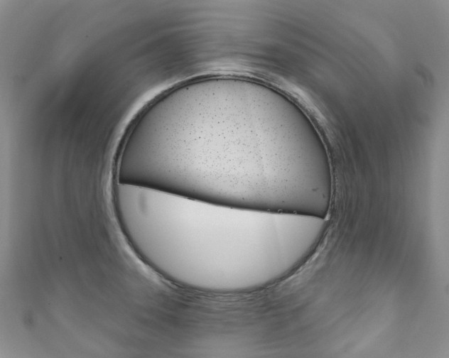 X0000111931331200907271022