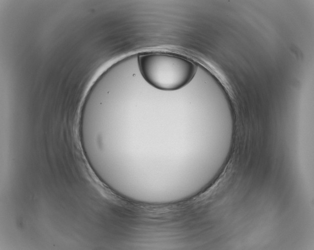 X0000111931332200907271022
