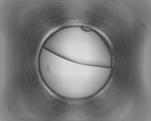 X0000111931333200907271022