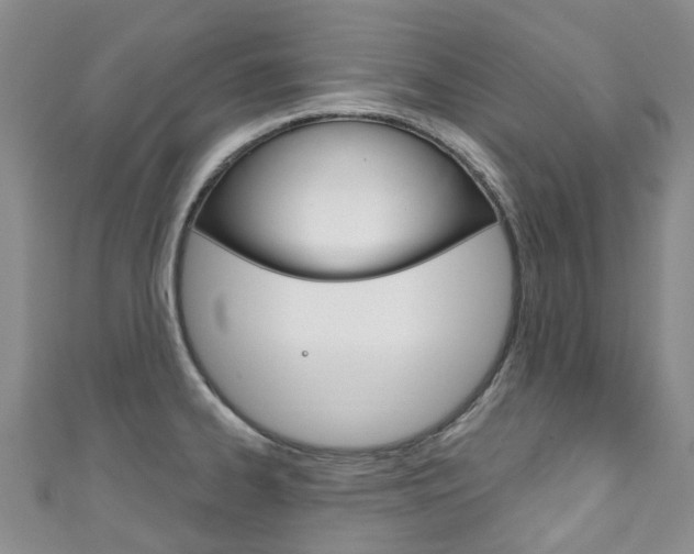X0000111931334200907271022