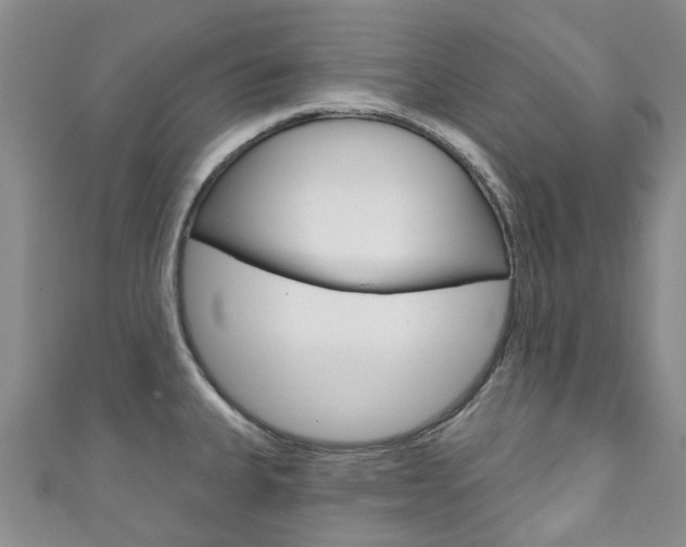 X0000111931335200907271022