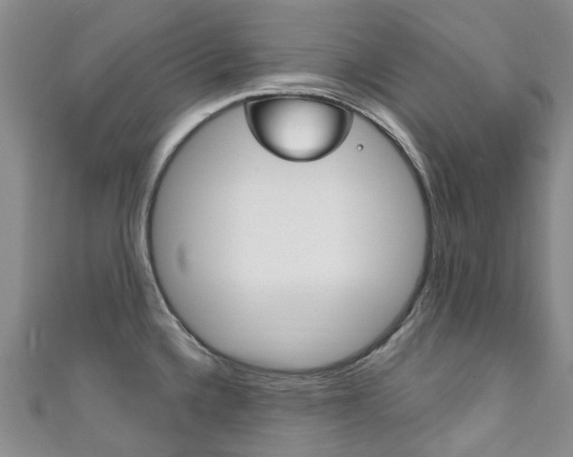 X0000111931336200907271022