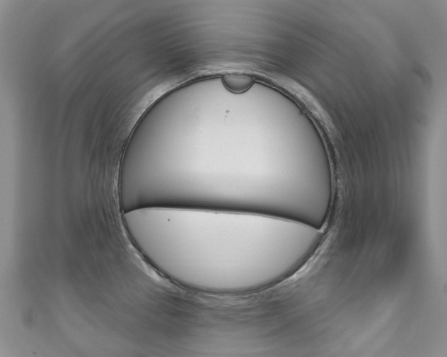 X0000111931337200907271022