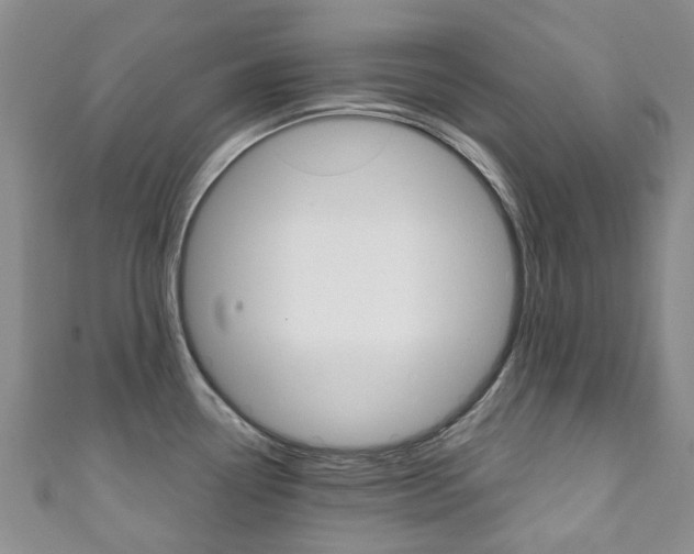 X0000111931338200907271022