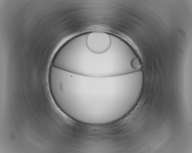 X0000111931339200907271022