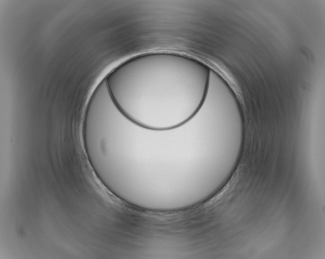 X0000111931340200907271022